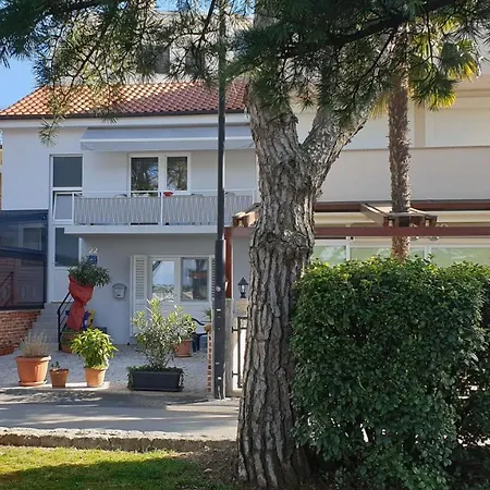 Oleander مالينسكا