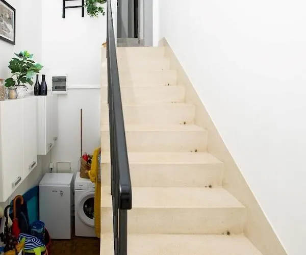 Oleander مالينسكا